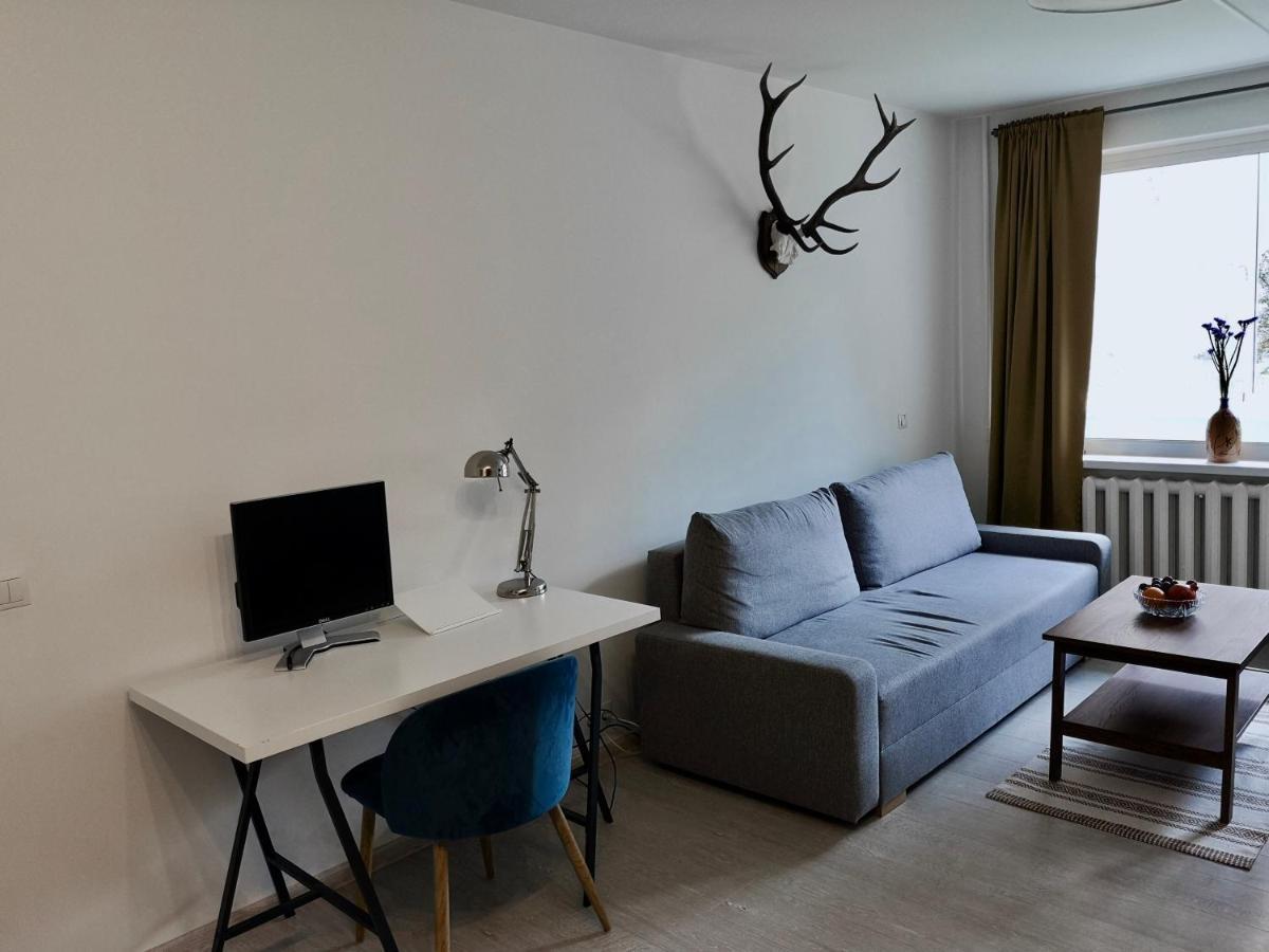 Homely Apartment In Kėdainiai Екстериор снимка